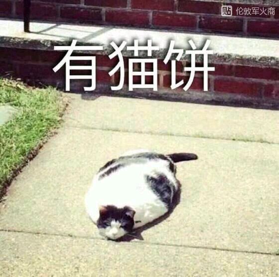 AV每日更新 在线观看 AV每日更新也有挑战