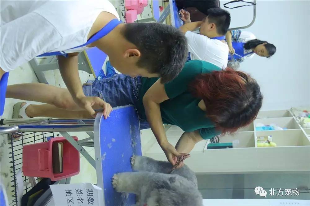 人与马视频 游牧文化或传统生活中的角色