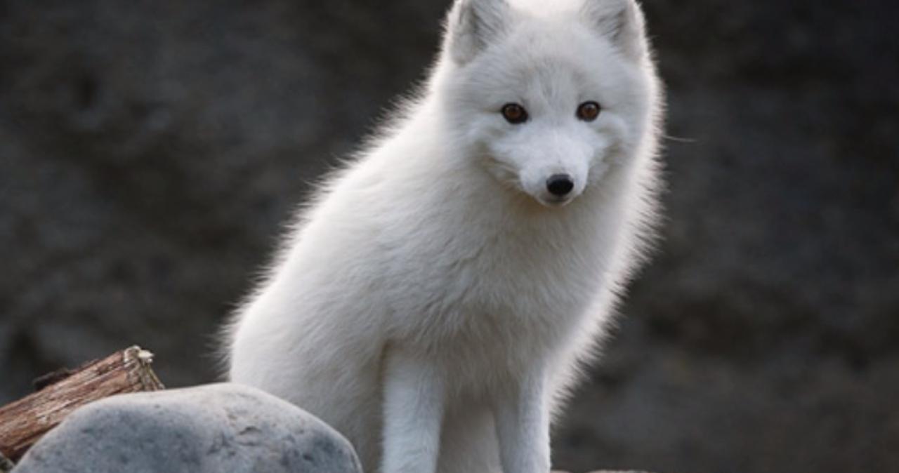 wu视频 视频视频如果你有其他问题