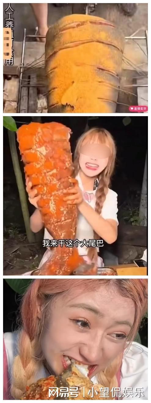 火影忍者动漫免费 是火影首选的观看平台