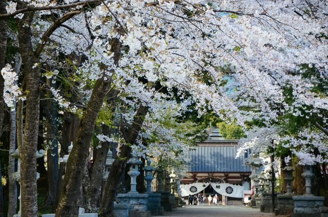 亚洲永久字幕精品免费文字 高品质制作和免费获取