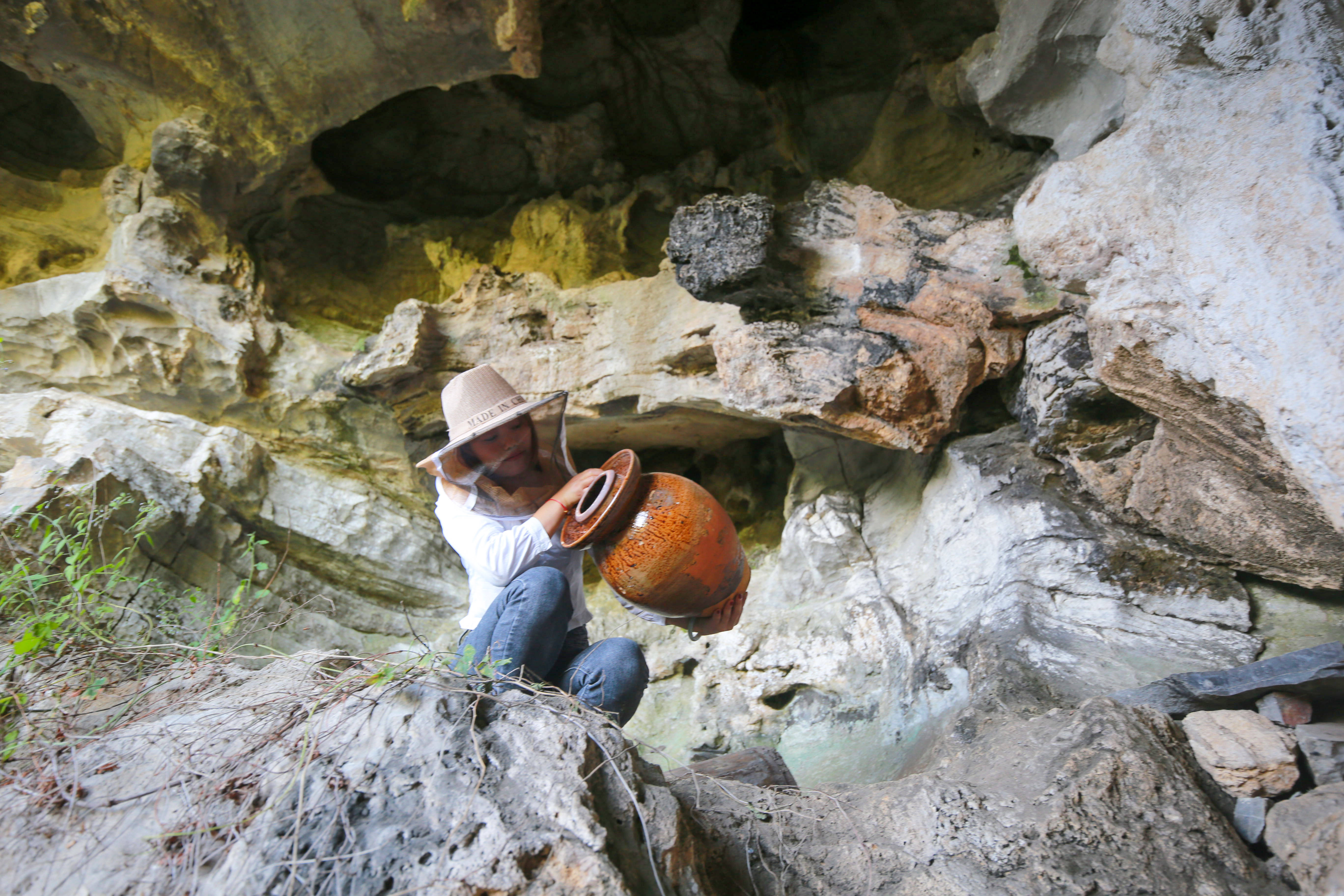 19动画网站 Udemy等平台均有大量教程）