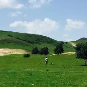 +世 界 上 最 不 安 全 的 人 1 3 纪 录 片 在 线 我很乐意为您提供支持