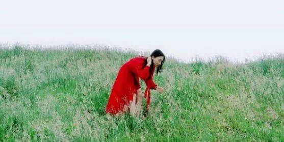 免费吃瓜爆料 转发等社交操作流畅