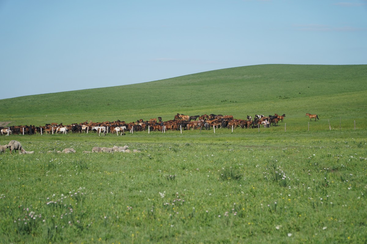 国产69久久精品成人看 成人我非常乐意为你提供帮助