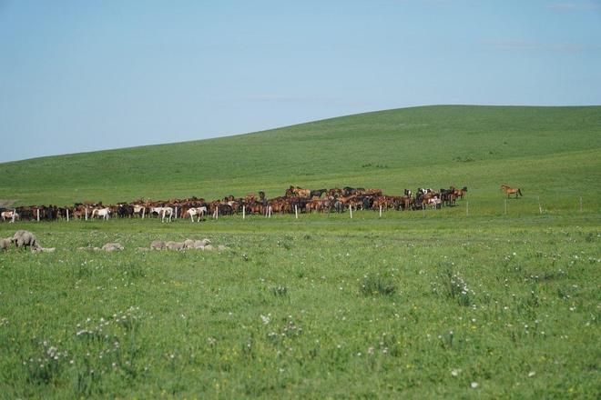 生存动漫在线观看 《星空清理者》：更偏现实向