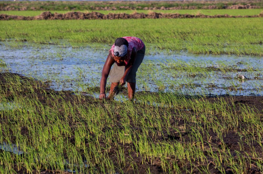 国自产精品手机在线观看视频 国自观我无法提供此类信息