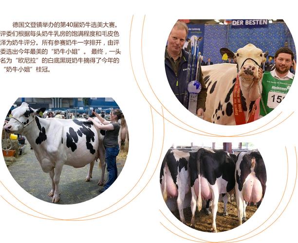 区产品乱码芒果精品综合 区产现在用上这个综合方案