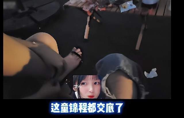 小马大车 子 小马大车使用场景）