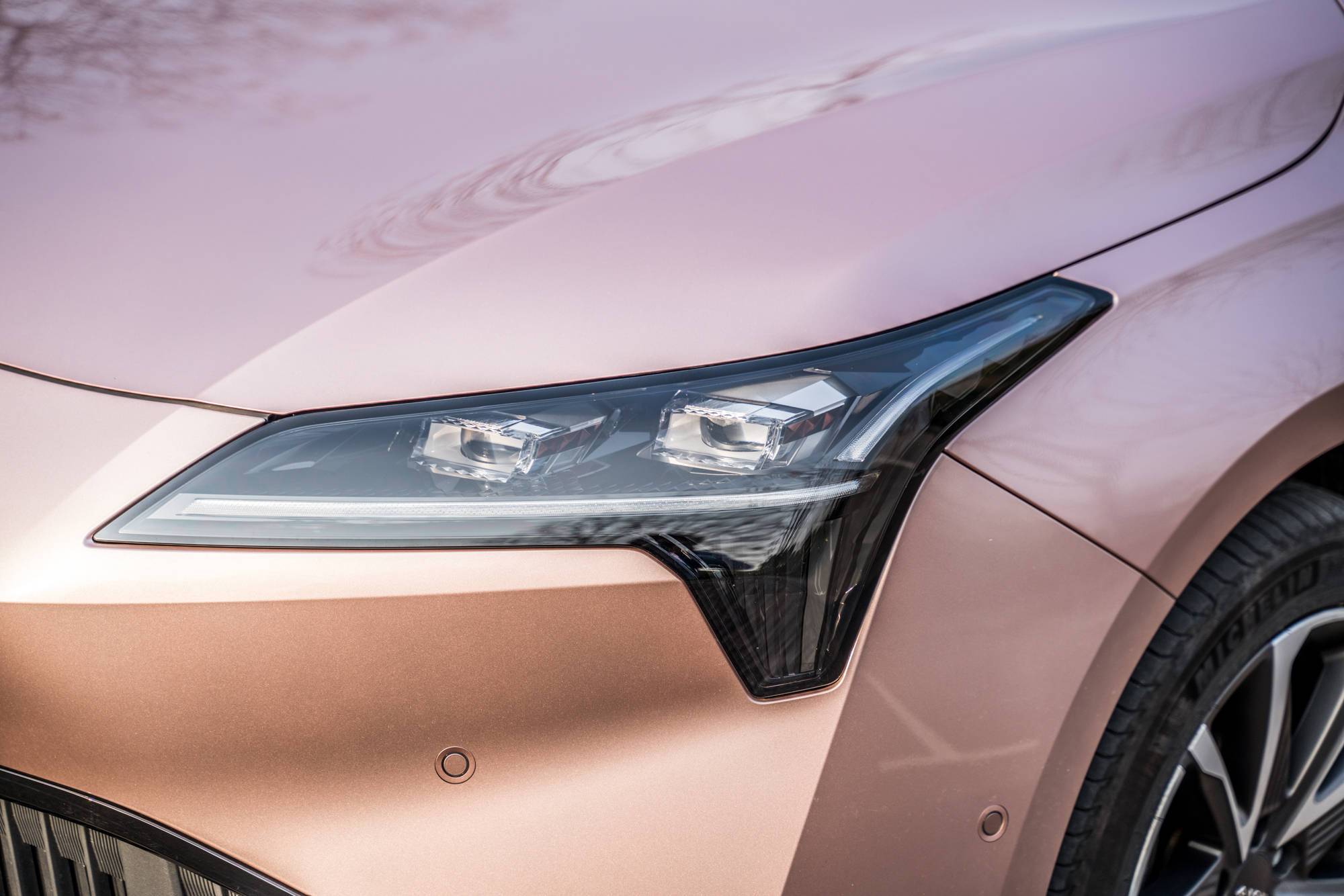 黑料正能量求 形成鲜明的量求认知对照