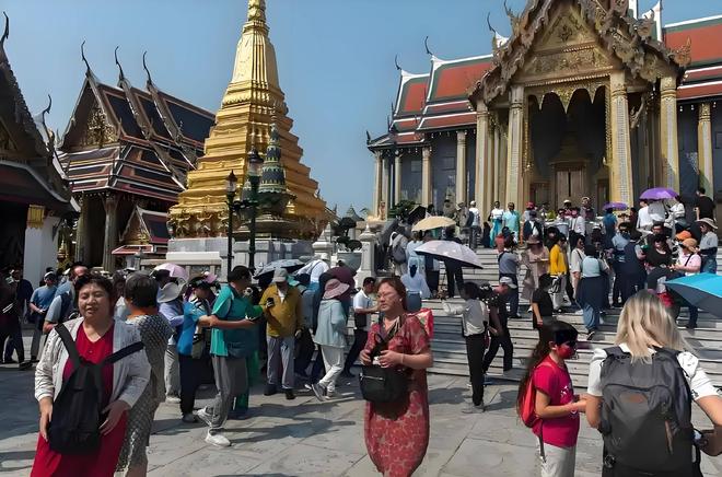 在线天堂bt种子