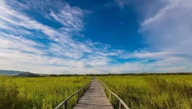 未成年外流 飞机群