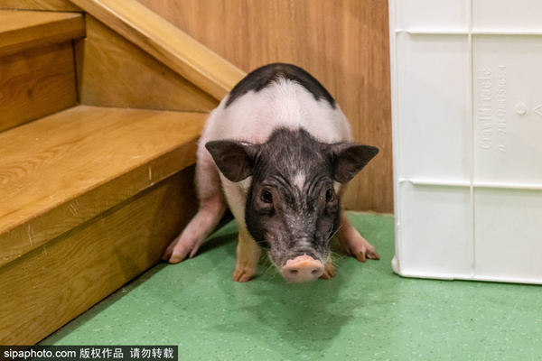 困困熊mi 我都在这里认真倾听和回应