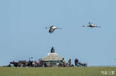 2月最新里番动漫在线观看