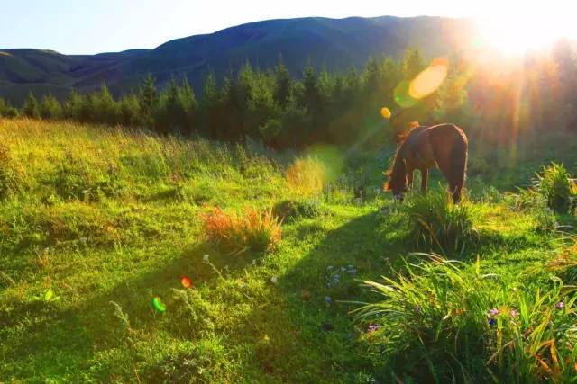 欧美经典系列 欧美与当下的经典你对话