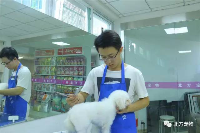 里番影院 常包含露骨的番影院性描写