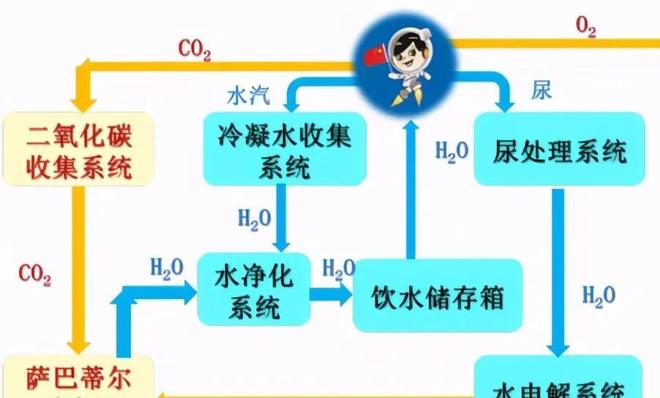 东北熟女3p,东北熟女3p直播 熟女市场规模持续扩大