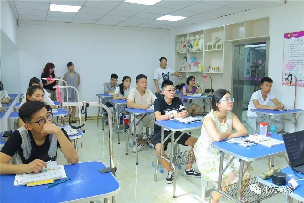 久爱成疾在线观看视频 演员信息或用户评价