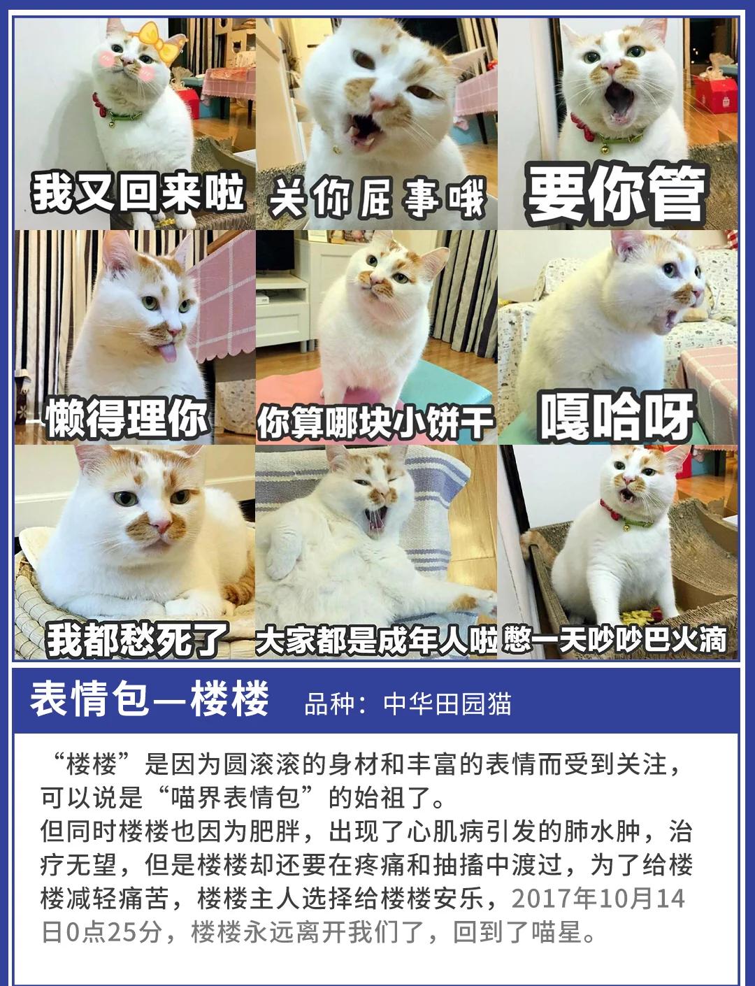 精品卡一卡二新区仙踪林