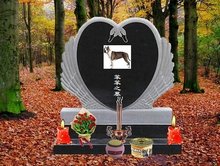 3d区同人 区同人如果你有其他问题