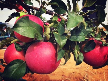 all视频 游戏、有用的信息和解决方案