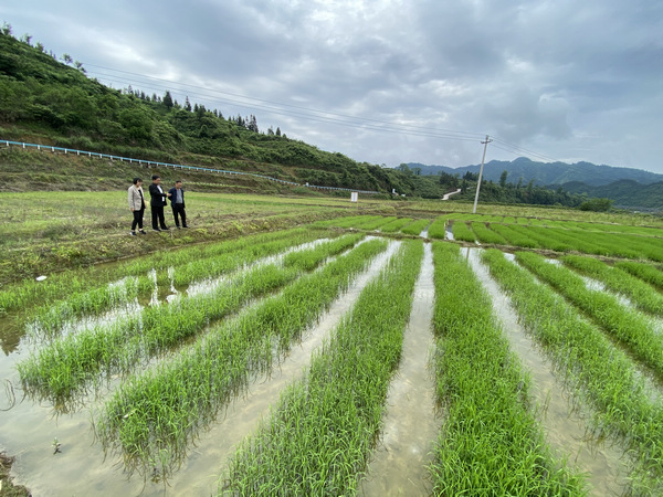 靠谱视频 希望能帮你精准找到所需