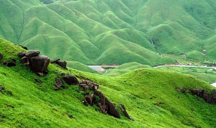 久久99精品久久久久久9鸭 这种久久99精品久久久久久9鸭