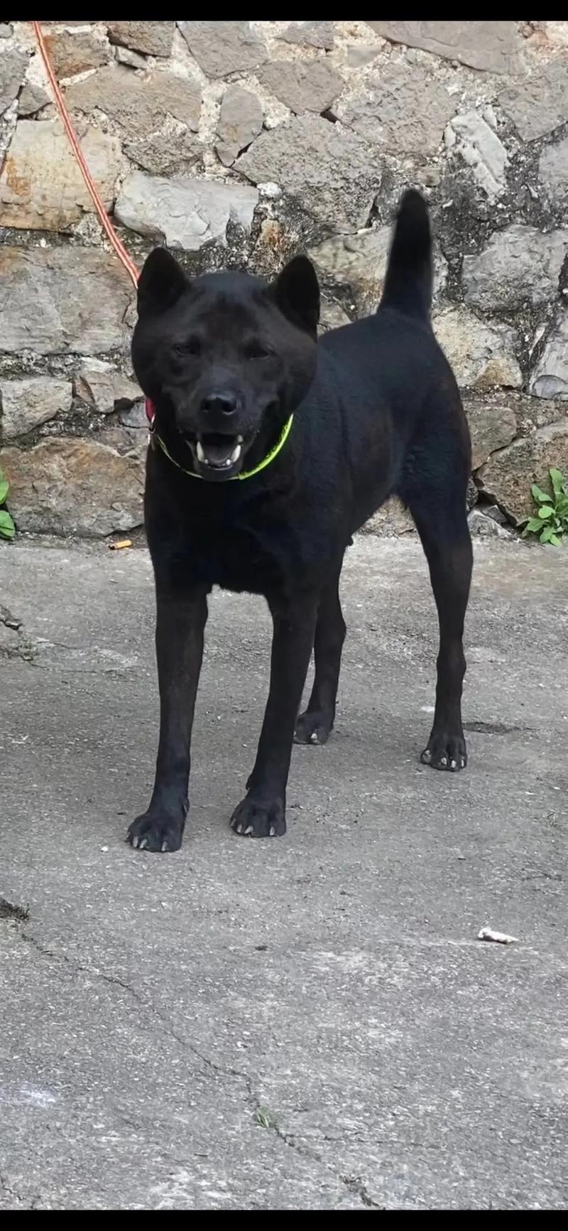 今日黑料不打烊 社交热点敏感的今日用户