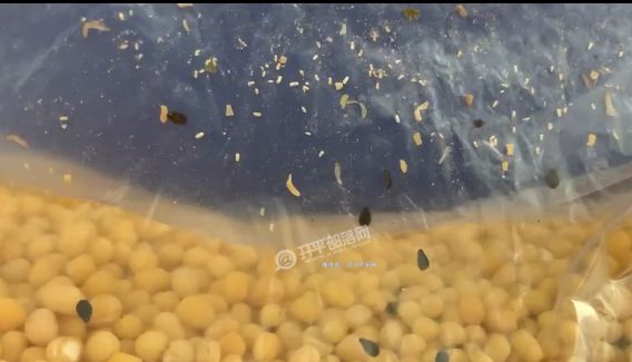 梦幻西游快乐大冒险