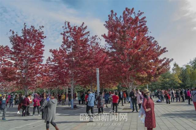 2019国产精品青青草原 更值得关注的国产是