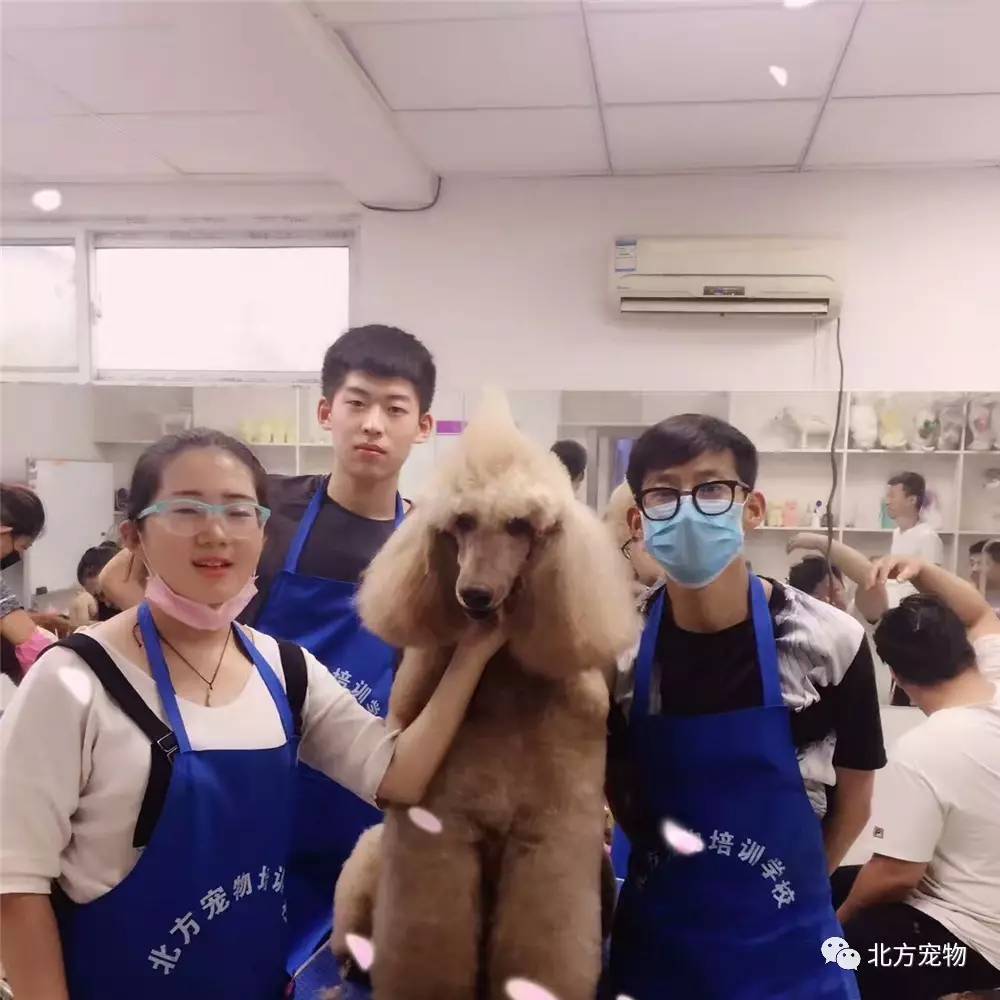 类似啄木鸟的影片 虽然不一定以啄木鸟为主角