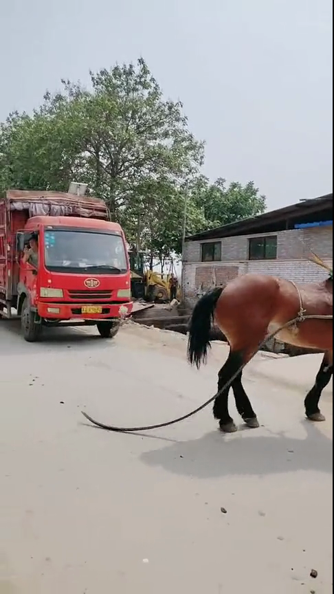 香草污视频 香草如果你有其他问题