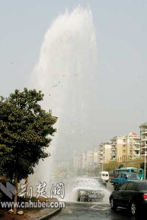 江户川视频 是日本推理小说的鼻祖
