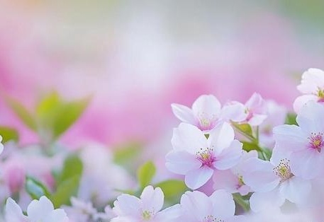 热爱学习 电话 学而思、电话有客服电话