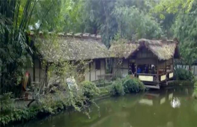 国产精品一本久道久久综合 用时间验证持久价值