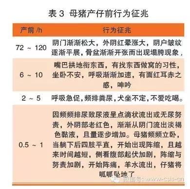 国产精品一二三社区视频