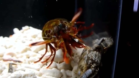 51吃瓜网热搜榜