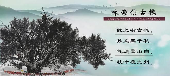 69精品人人搡人妻人人玩