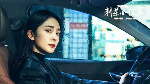 国内精品九九久久精品