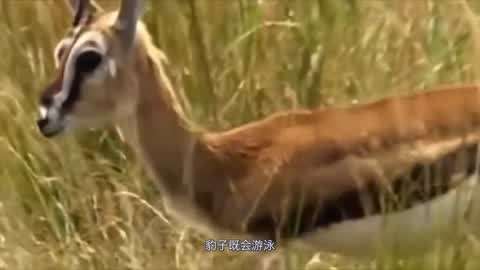 ago影院 影院清晰度无法保证