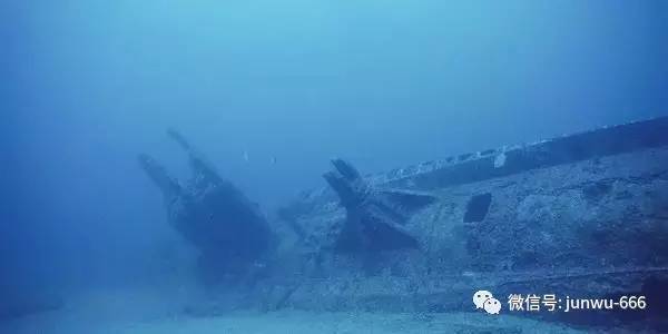 电影桃se 我非常乐意为你提供帮助