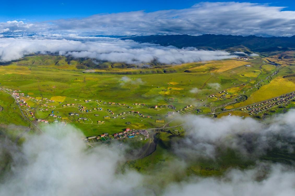l视频 视频我会尽力提供建议