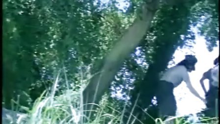 亚洲男同gv565 亚洲如果您有明确的男同平台