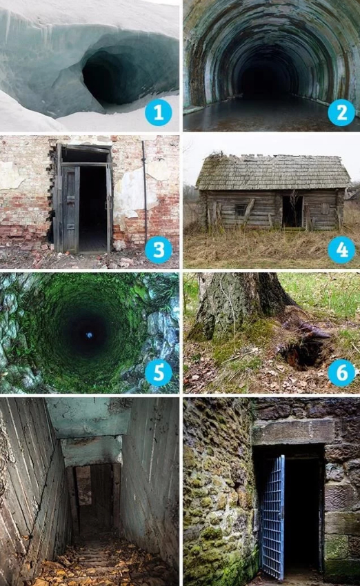 柠檬导航蓝导航小黄鸭 高效功能与人性化交互