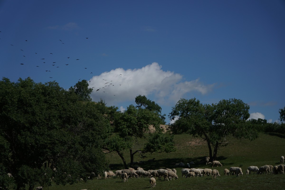 臀山401 臀山需更多背景信息