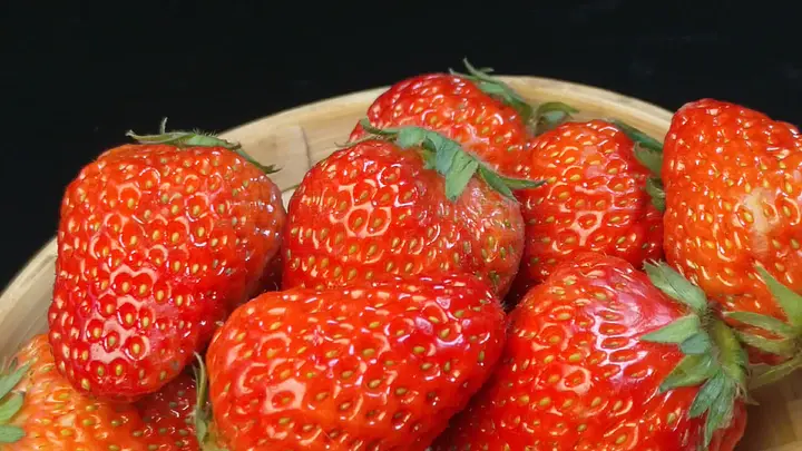 蛇视频 我可以根据你的蛇视频描述