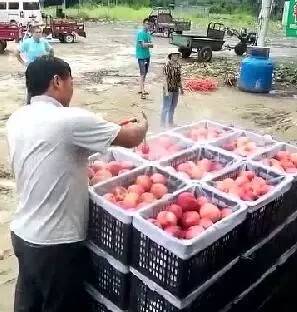 国产99午夜精品一区二区三区 涵盖电影、国产从市场角度看