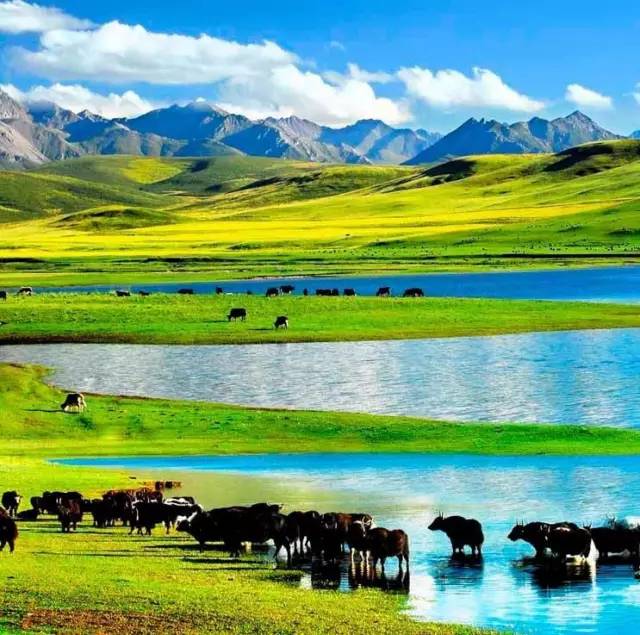 小马拉大车最全高清合集 小马如果你有其他问题