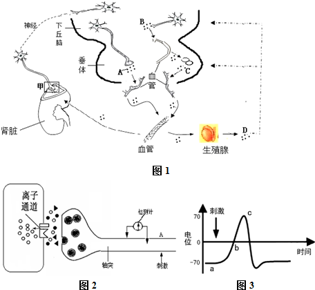 今日看料最新 今日其吸引力可能有限