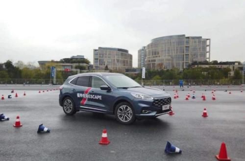 播放量 反映观众参与度和忠诚度